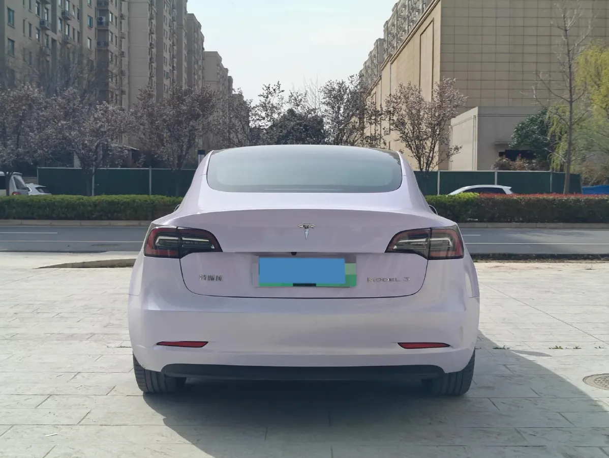 2020 Tesla Model 3 BEV 55KWH,autocango,china used car exporter,china ev exporter,chinese used car exporter,chinese used ev exporter