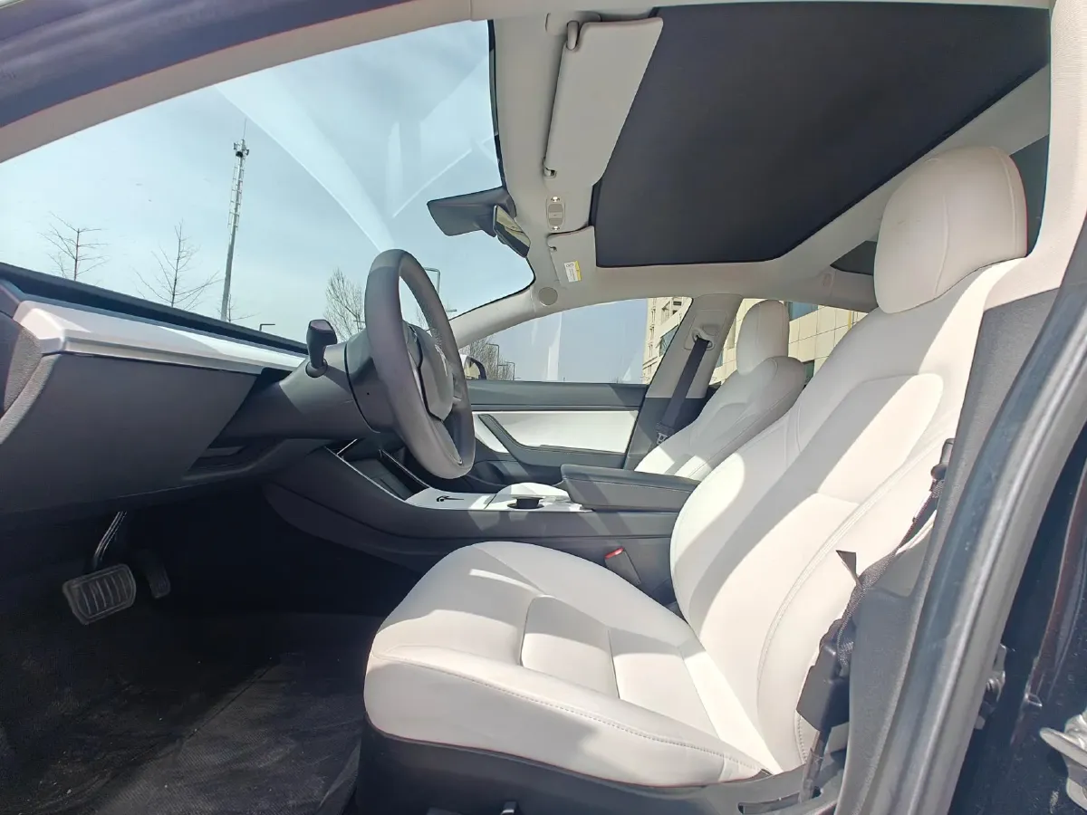 2020 Tesla Model 3 BEV 55KWH,autocango,china used car exporter,china ev exporter,chinese used car exporter,chinese used ev exporter