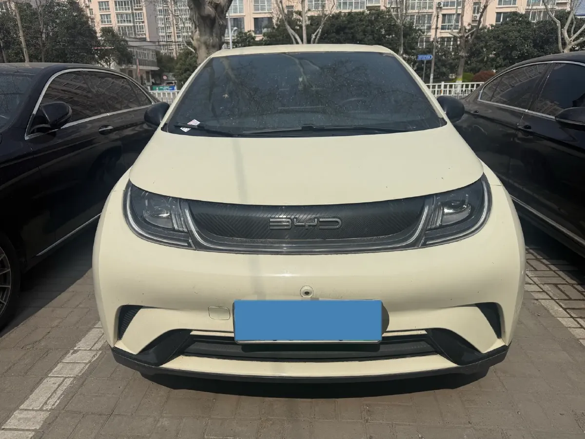 2023 BYD Dolphin BEV 44.928KWH,autocango,china used car exporter,china ev exporter,chinese used car exporter,chinese used ev exporter