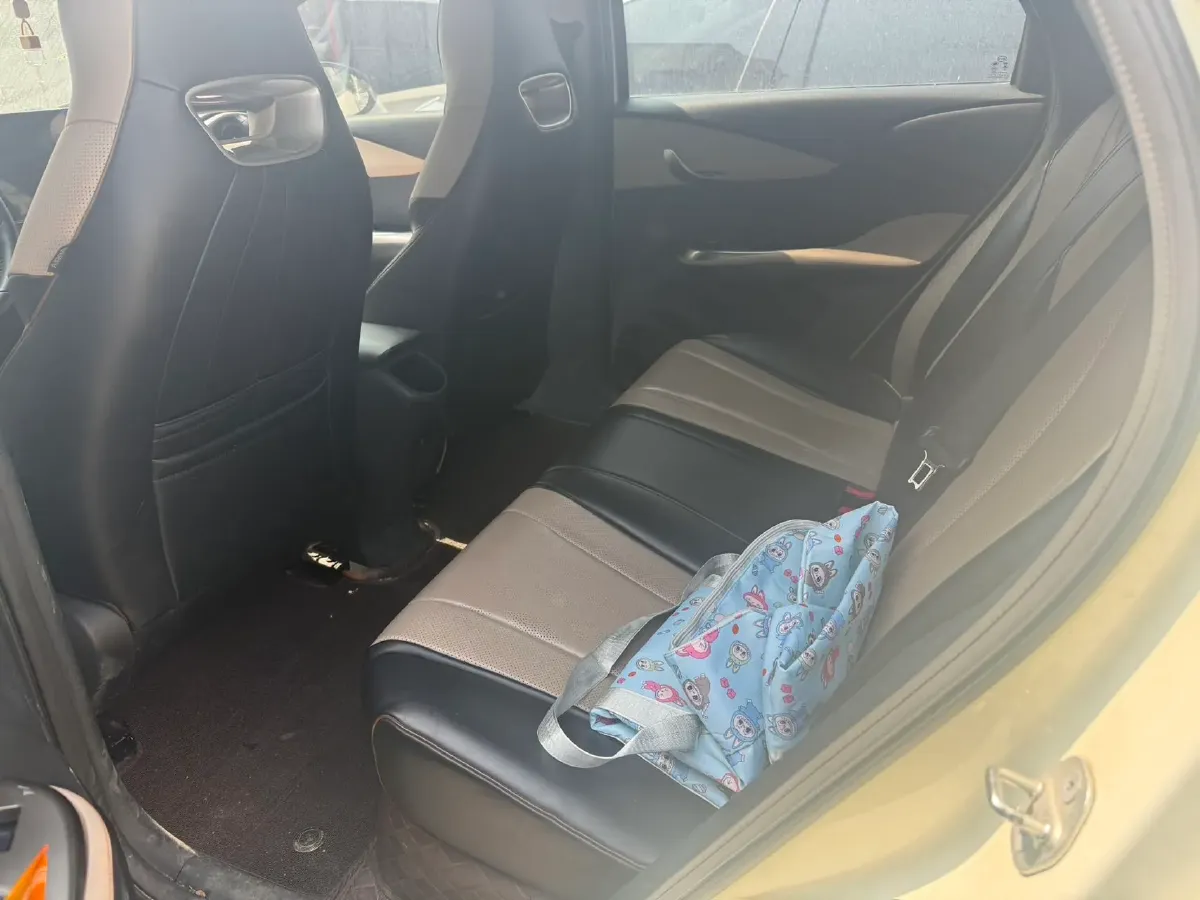 2023 BYD Dolphin BEV 44.928KWH,autocango,china used car exporter,china ev exporter,chinese used car exporter,chinese used ev exporter