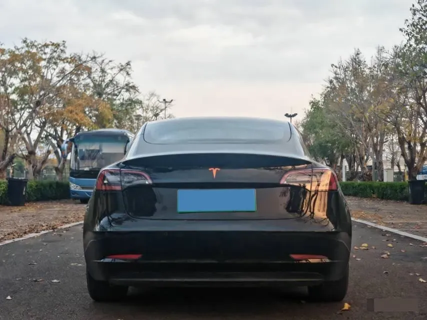 2019 Tesla Model 3 BEV 81KWH,autocango,china used car exporter,china ev exporter,chinese used car exporter,chinese used ev exporter