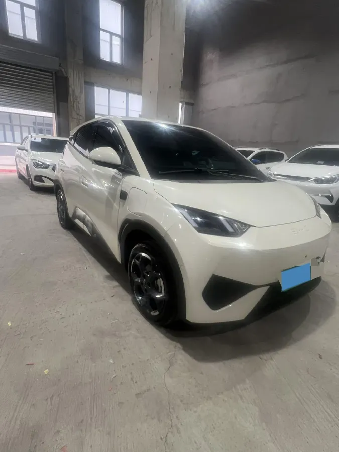 2025 BYD Seagull BEV 38.88KWH,autocango,china used car exporter,china ev exporter,chinese used car exporter,chinese used ev exporter