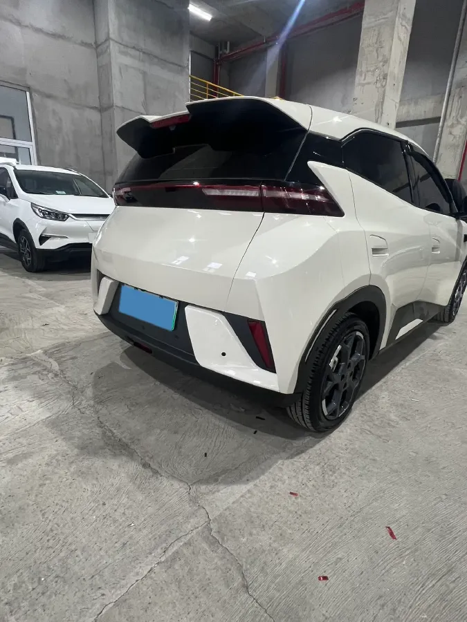 2025 BYD Seagull BEV 38.88KWH,autocango,china used car exporter,china ev exporter,chinese used car exporter,chinese used ev exporter