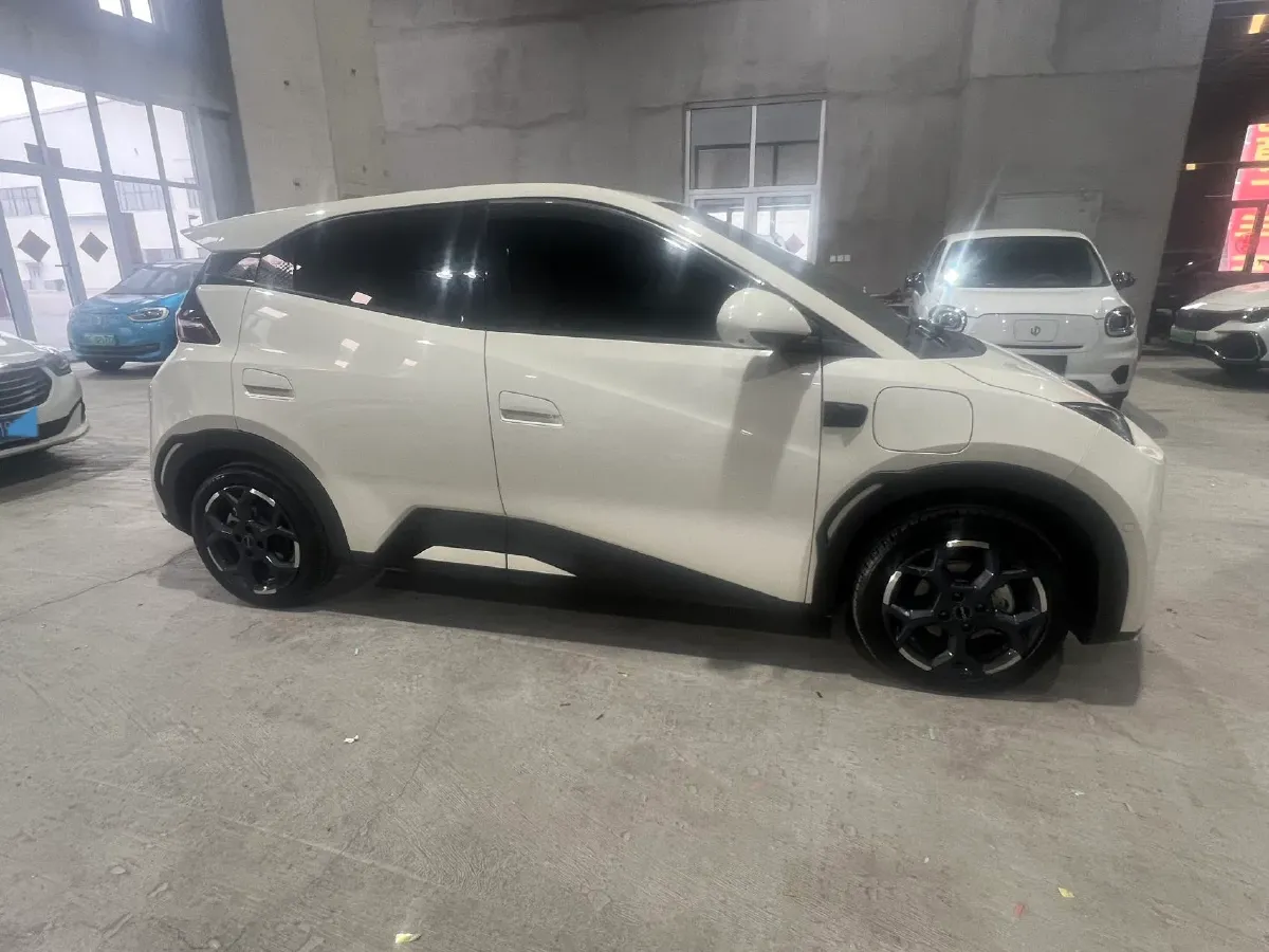 2025 BYD Seagull BEV 38.88KWH,autocango,china used car exporter,china ev exporter,chinese used car exporter,chinese used ev exporter