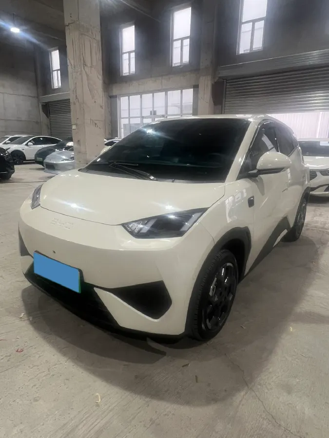 2025 BYD Seagull BEV 38.88KWH,autocango,china used car exporter,china ev exporter,chinese used car exporter,chinese used ev exporter