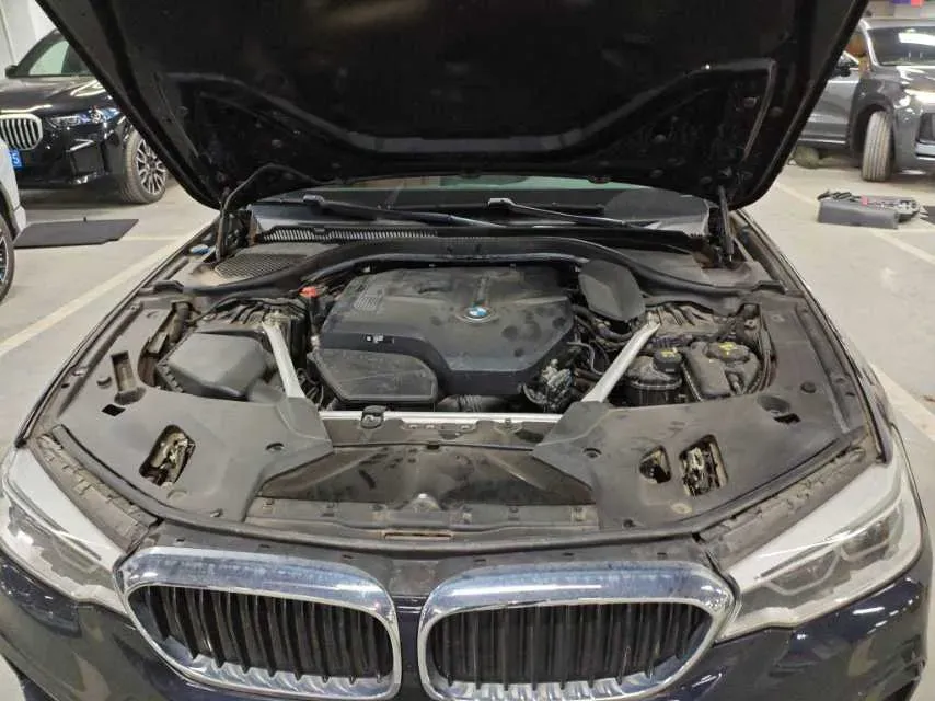 2020 BMW 5 Series 2.0T 252HP L4 8AT,autocango,china used car exporter,china ev exporter,chinese used car exporter,chinese used ev exporter