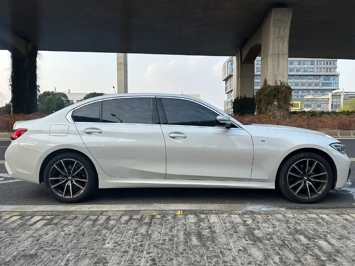 2021 BMW 3 Series 2.0T 156HP L4 8AT,autocango,china used car exporter,china ev exporter,chinese used car exporter,chinese used ev exporter