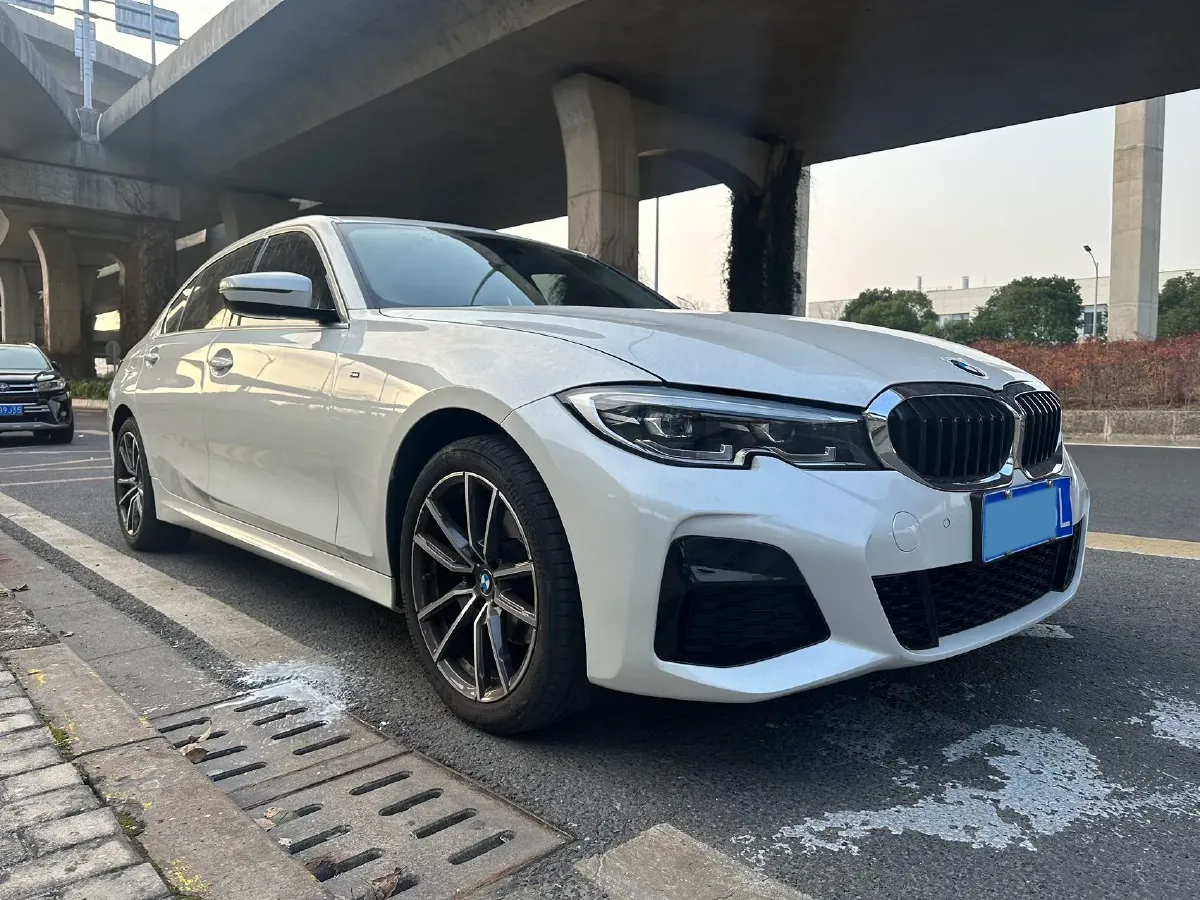 2021 BMW 3 Series 2.0T 156HP L4 8AT,autocango,china used car exporter,china ev exporter,chinese used car exporter,chinese used ev exporter