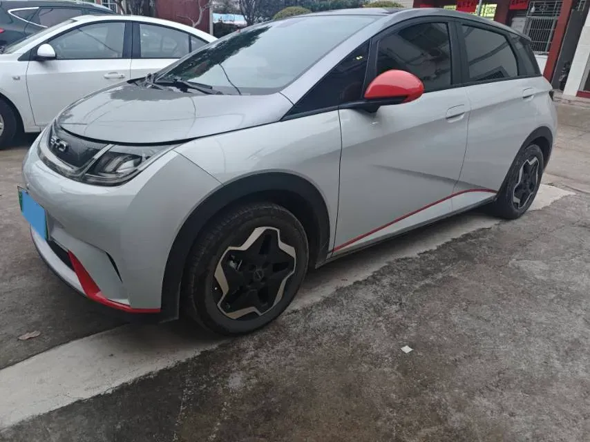 2021 BYD Yuan Pro BEV 50.1KWH,autocango,china used car exporter,china ev exporter,chinese used car exporter,chinese used ev exporter