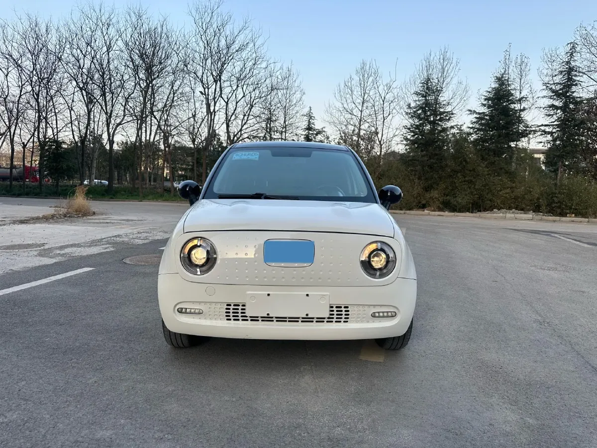 2022 DaYun YueHu BEV 30.66KWH,autocango,china used car exporter,china ev exporter,chinese used car exporter,chinese used ev exporter