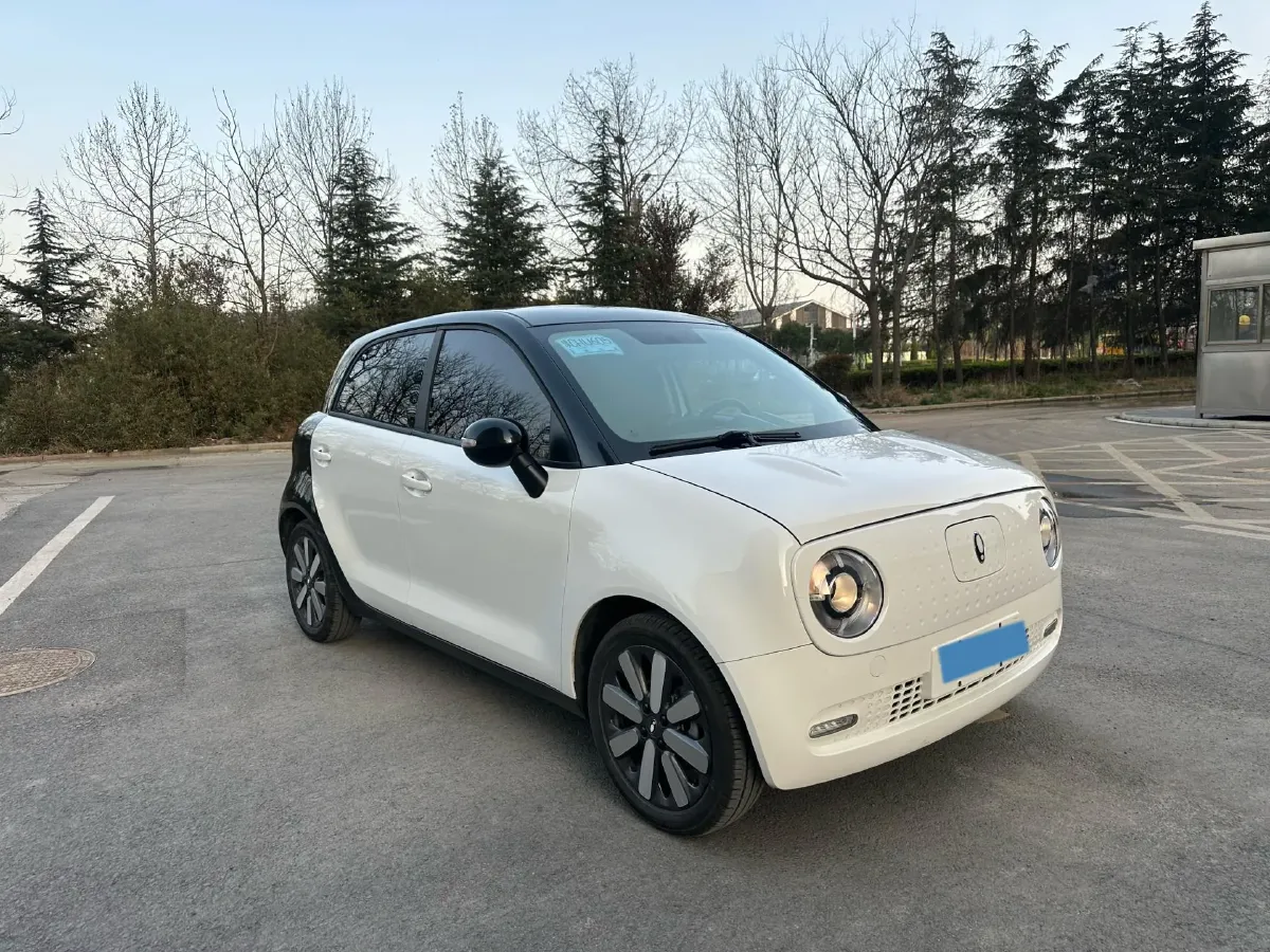 2022 DaYun YueHu BEV 30.66KWH,autocango,china used car exporter,china ev exporter,chinese used car exporter,chinese used ev exporter