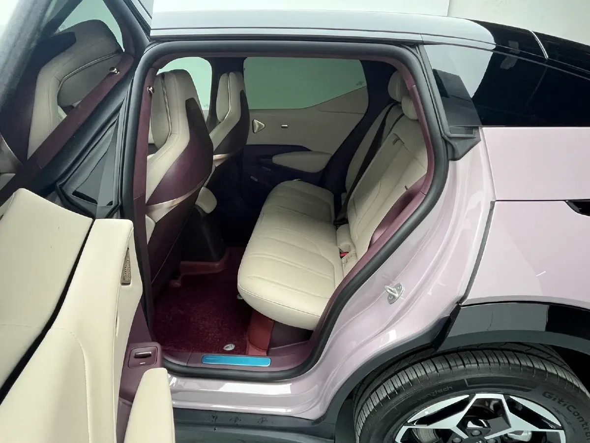 2025 Zeekr X BEV 49KWH,autocango,china used car exporter,china ev exporter,chinese used car exporter,chinese used ev exporter