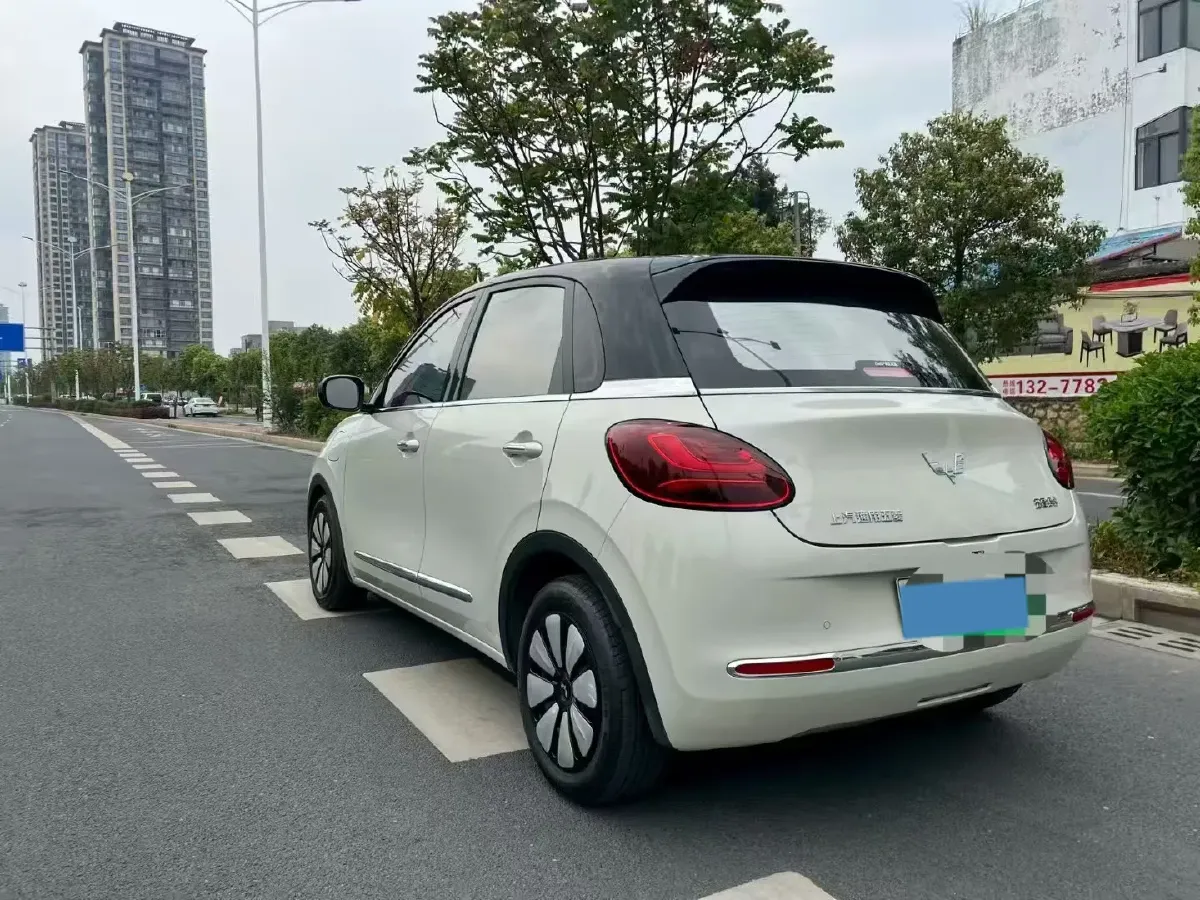 2025 WuLing BinGuo BEV,autocango,china used car exporter,china ev exporter,chinese used car exporter,chinese used ev exporter