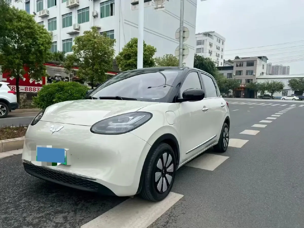 2025 WuLing BinGuo BEV,autocango,china used car exporter,china ev exporter,chinese used car exporter,chinese used ev exporter