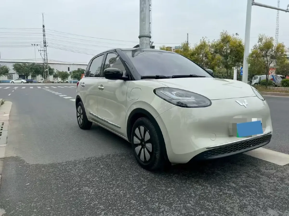 2025 WuLing BinGuo BEV,autocango,china used car exporter,china ev exporter,chinese used car exporter,chinese used ev exporter