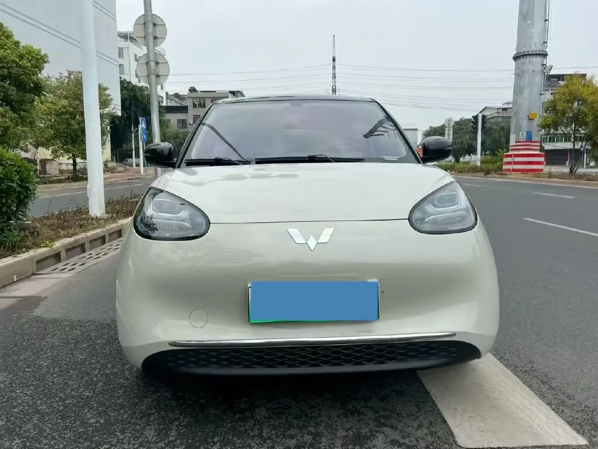 2025 WuLing BinGuo BEV,autocango,china used car exporter,china ev exporter,chinese used car exporter,chinese used ev exporter