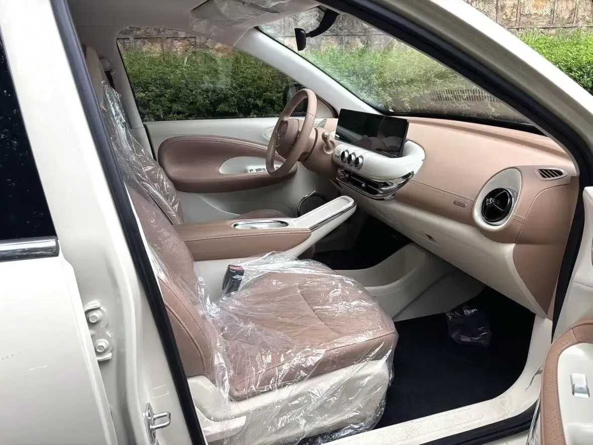 2025 WuLing BinGuo BEV,autocango,china used car exporter,china ev exporter,chinese used car exporter,chinese used ev exporter