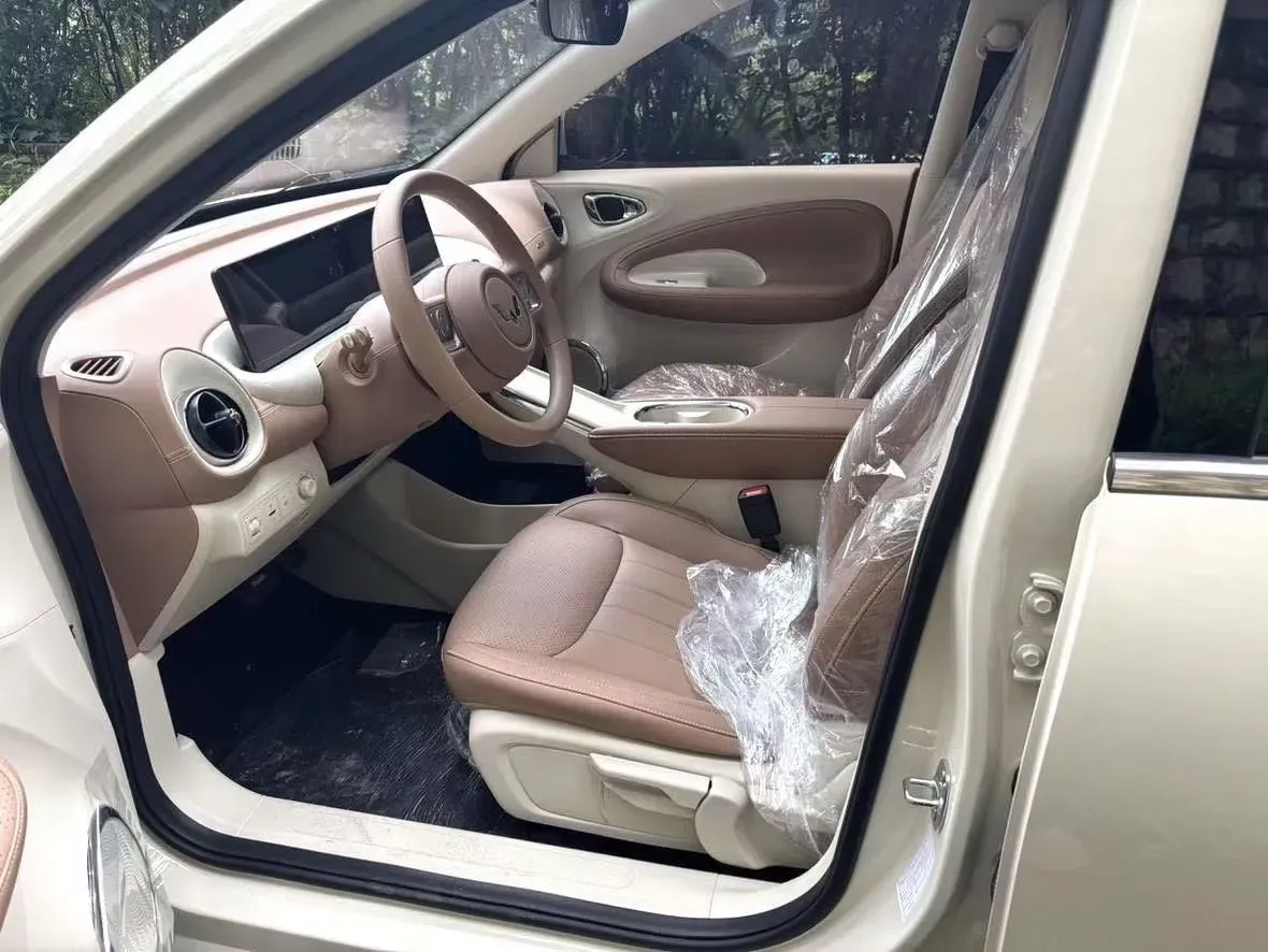 2025 WuLing BinGuo BEV,autocango,china used car exporter,china ev exporter,chinese used car exporter,chinese used ev exporter