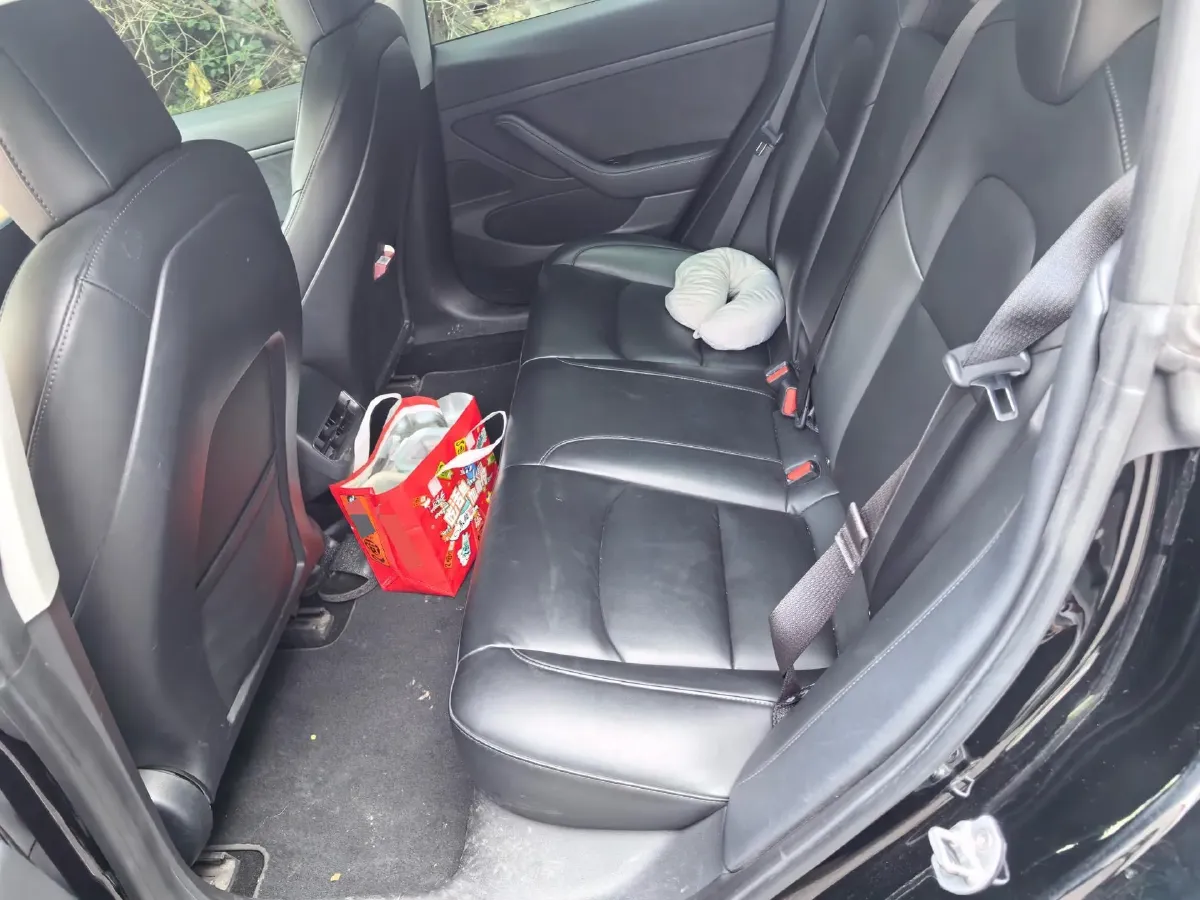 2020 Tesla Model 3 BEV 76.8KWH,autocango,china used car exporter,china ev exporter,chinese used car exporter,chinese used ev exporter