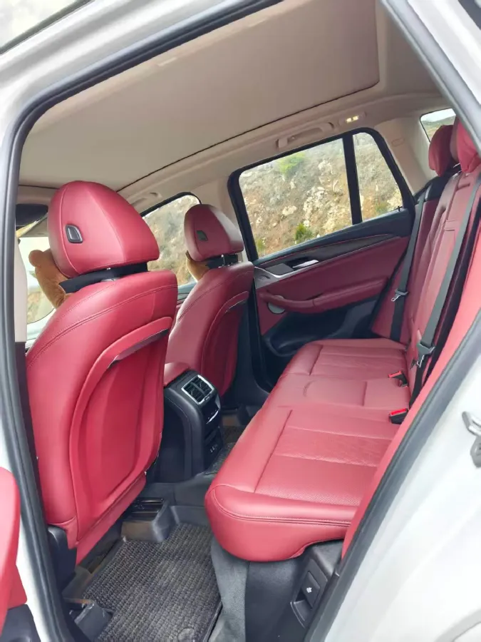 2023 BMW X3 2.0T 245HP L4 8AT,autocango,china used car exporter,china ev exporter,chinese used car exporter,chinese used ev exporter