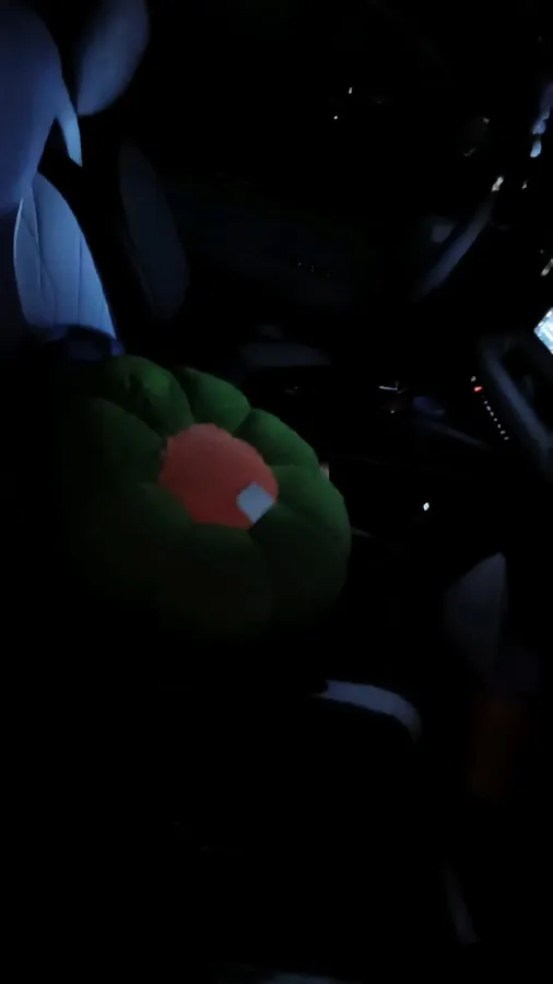 2021 Geely Monjaro 2.0T 218HP L4 7DCT,autocango,china used car exporter,china ev exporter,chinese used car exporter,chinese used ev exporter