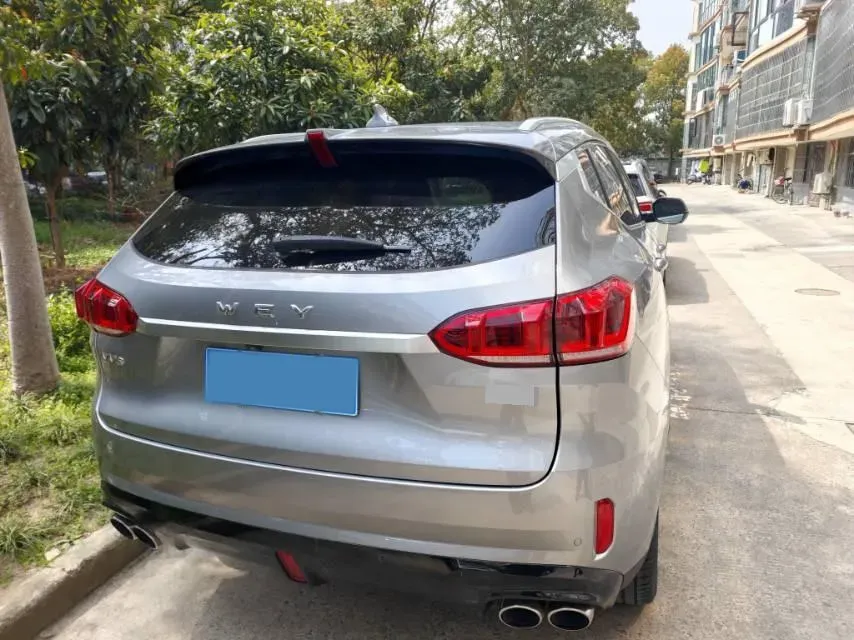 2020 WEY VV6 2.0T 227HP L4 7DCT,autocango,china used car exporter,china ev exporter,chinese used car exporter,chinese used ev exporter