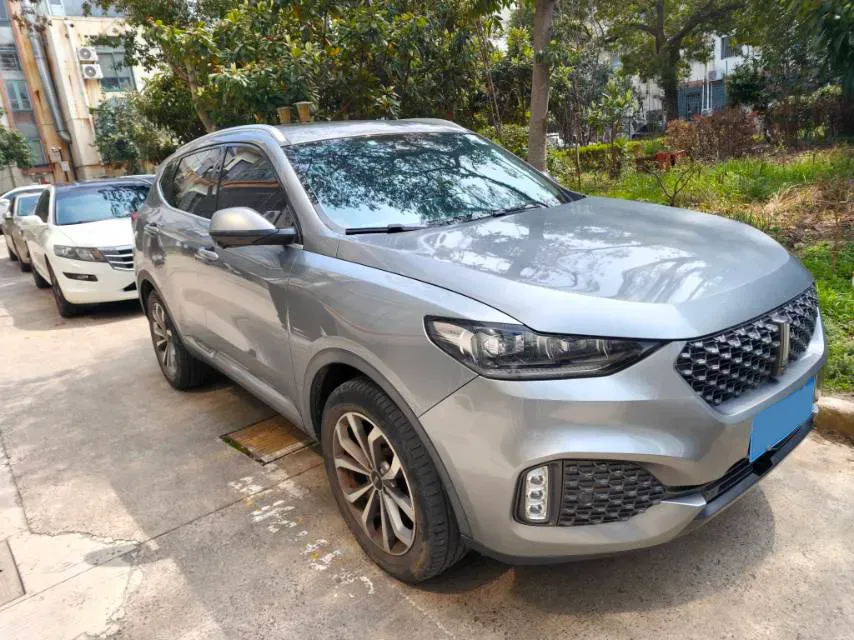 2020 WEY VV6 2.0T 227HP L4 7DCT,autocango,china used car exporter,china ev exporter,chinese used car exporter,chinese used ev exporter