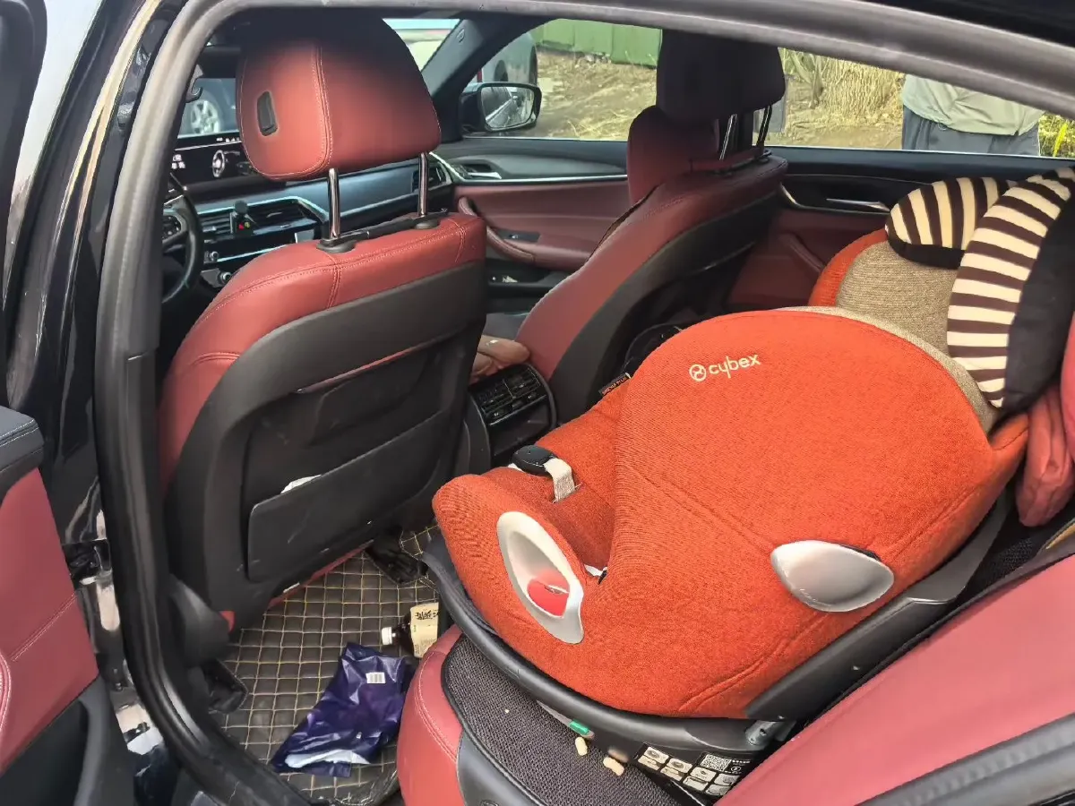 2021 BMW 5 Series 2.0T 252HP L4 8AT,autocango,china used car exporter,china ev exporter,chinese used car exporter,chinese used ev exporter