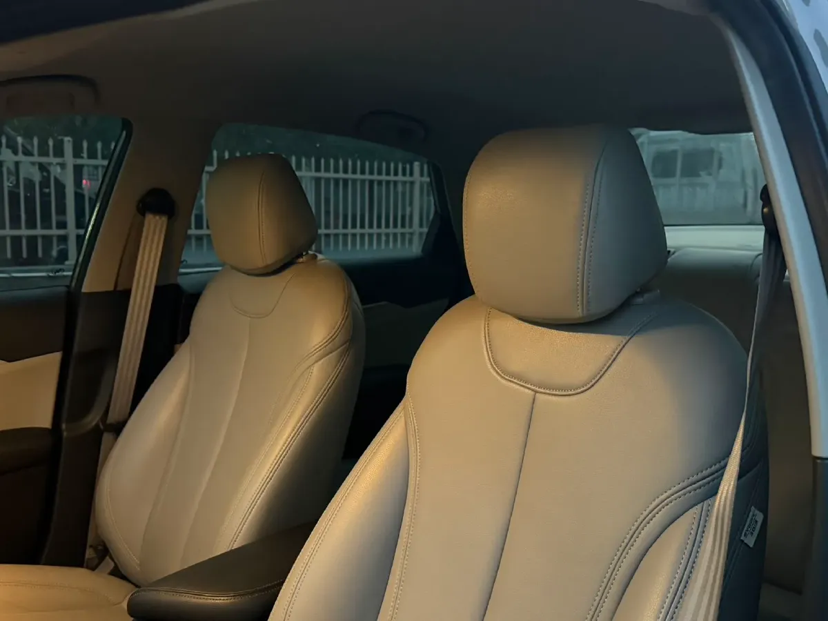 2020 DongFeng Forthing T5 1.5T 156HP L4 6AT,autocango,china used car exporter,china ev exporter,chinese used car exporter,chinese used ev exporter