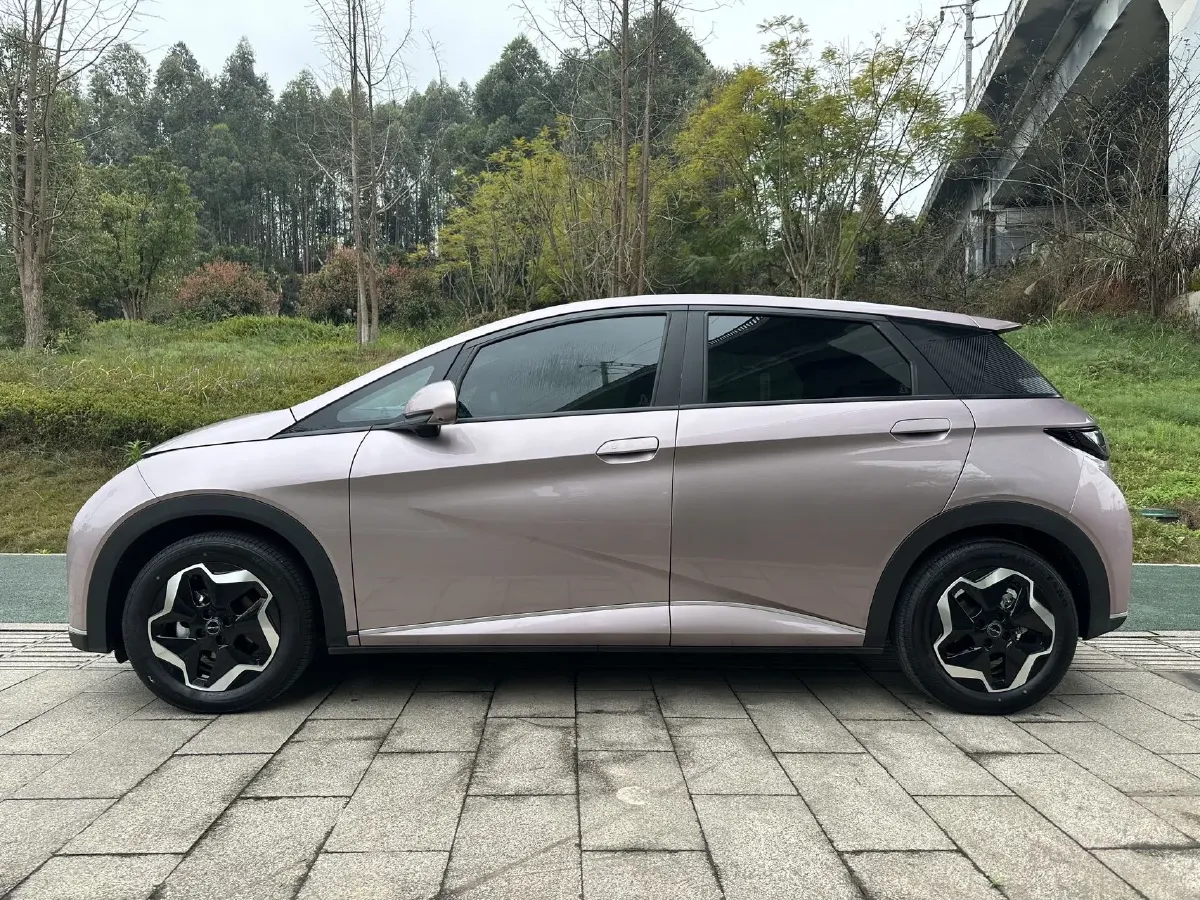 2021 BYD Yuan Pro BEV 50.1KWH,autocango,china used car exporter,china ev exporter,chinese used car exporter,chinese used ev exporter