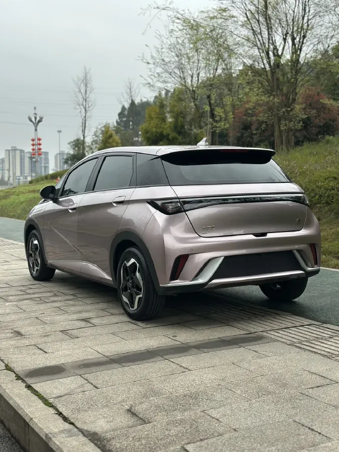 2021 BYD Yuan Pro BEV 50.1KWH,autocango,china used car exporter,china ev exporter,chinese used car exporter,chinese used ev exporter