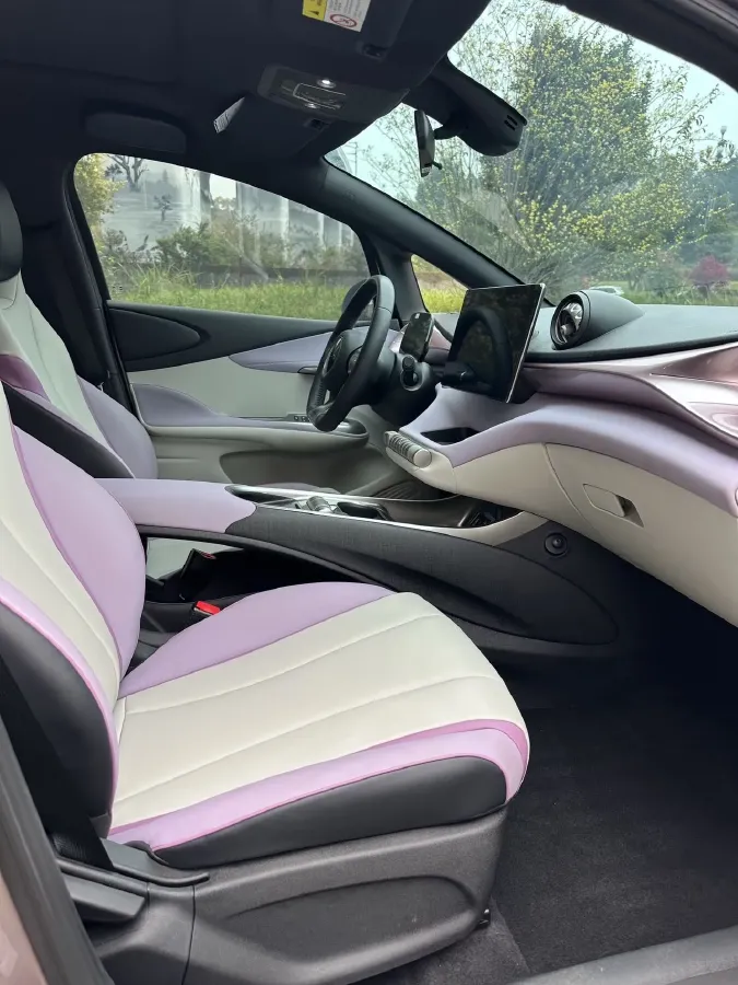 2021 BYD Yuan Pro BEV 50.1KWH,autocango,china used car exporter,china ev exporter,chinese used car exporter,chinese used ev exporter