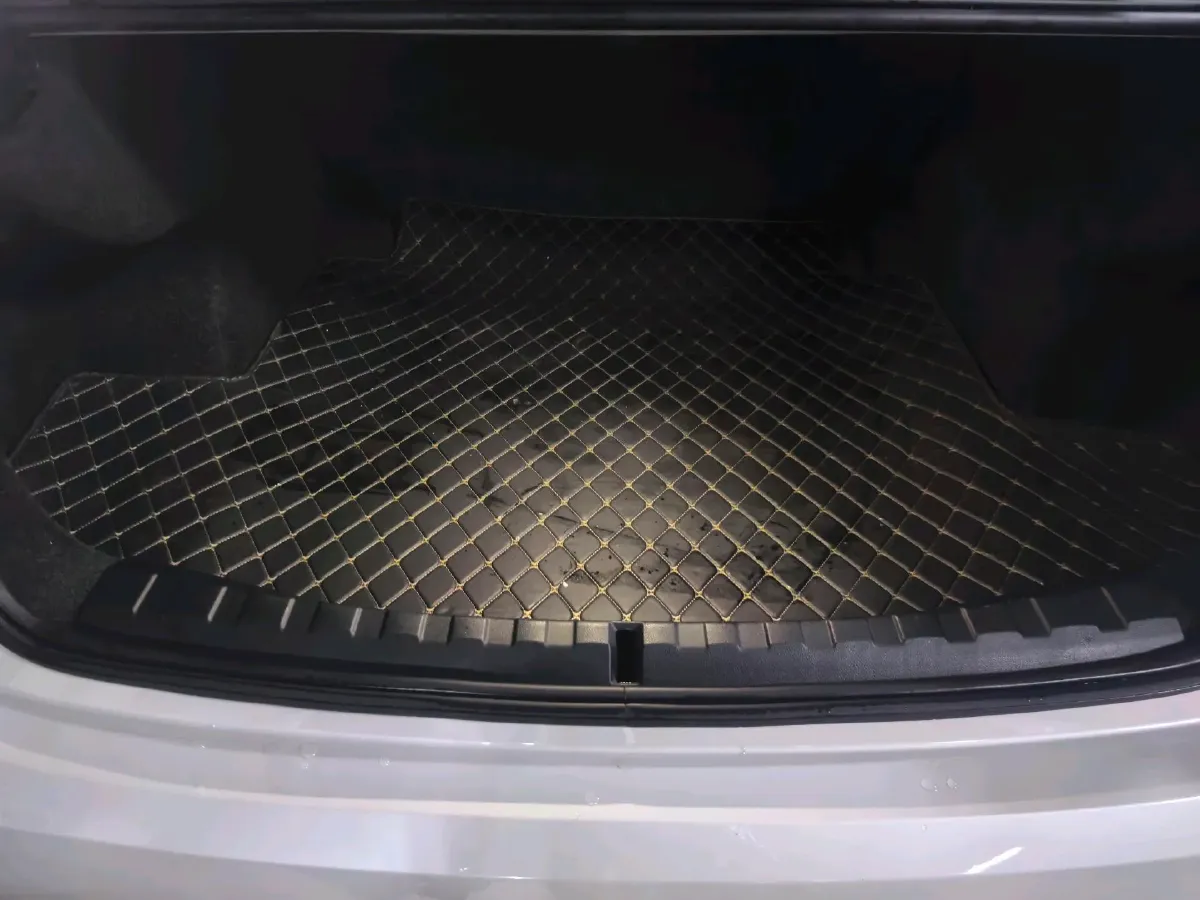 2021 BMW 3 Series 2.0T 156HP L4 8AT,autocango,china used car exporter,china ev exporter,chinese used car exporter,chinese used ev exporter