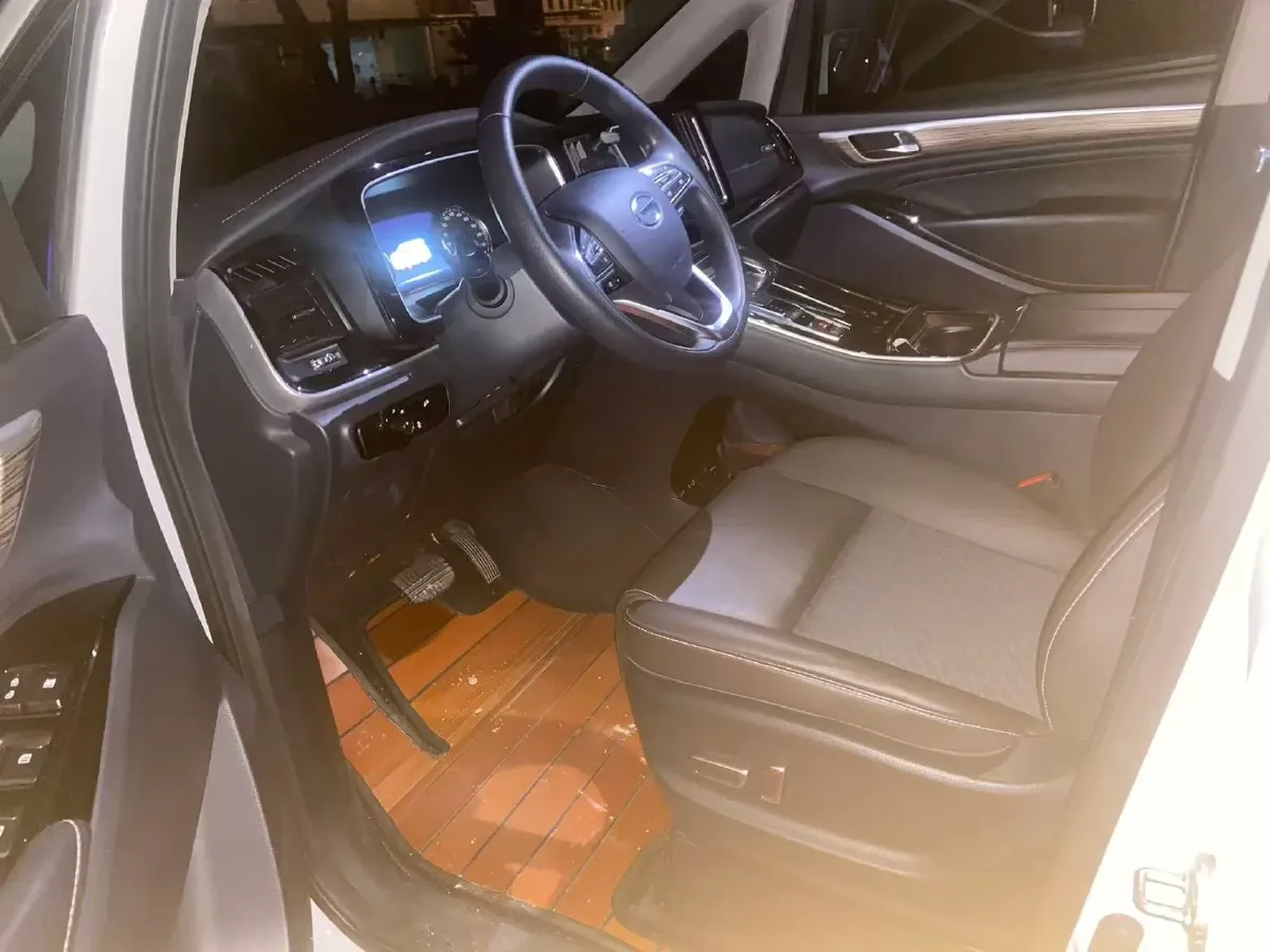 2024 GAC Trumpchi M8 2.0T 252HP L4 8AT,autocango,china used car exporter,china ev exporter,chinese used car exporter,chinese used ev exporter