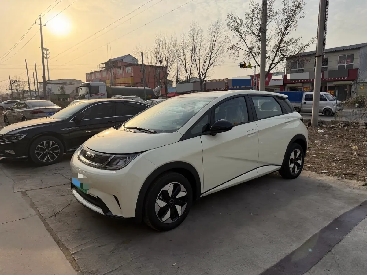 2025 BYD Dolphin BEV 44.928KWH,autocango,china used car exporter,china ev exporter,chinese used car exporter,chinese used ev exporter