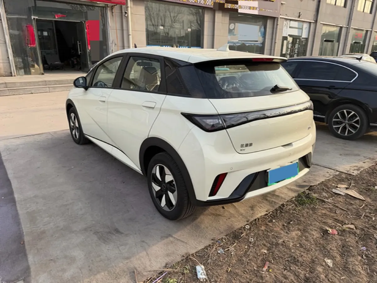 2025 BYD Dolphin BEV 44.928KWH,autocango,china used car exporter,china ev exporter,chinese used car exporter,chinese used ev exporter