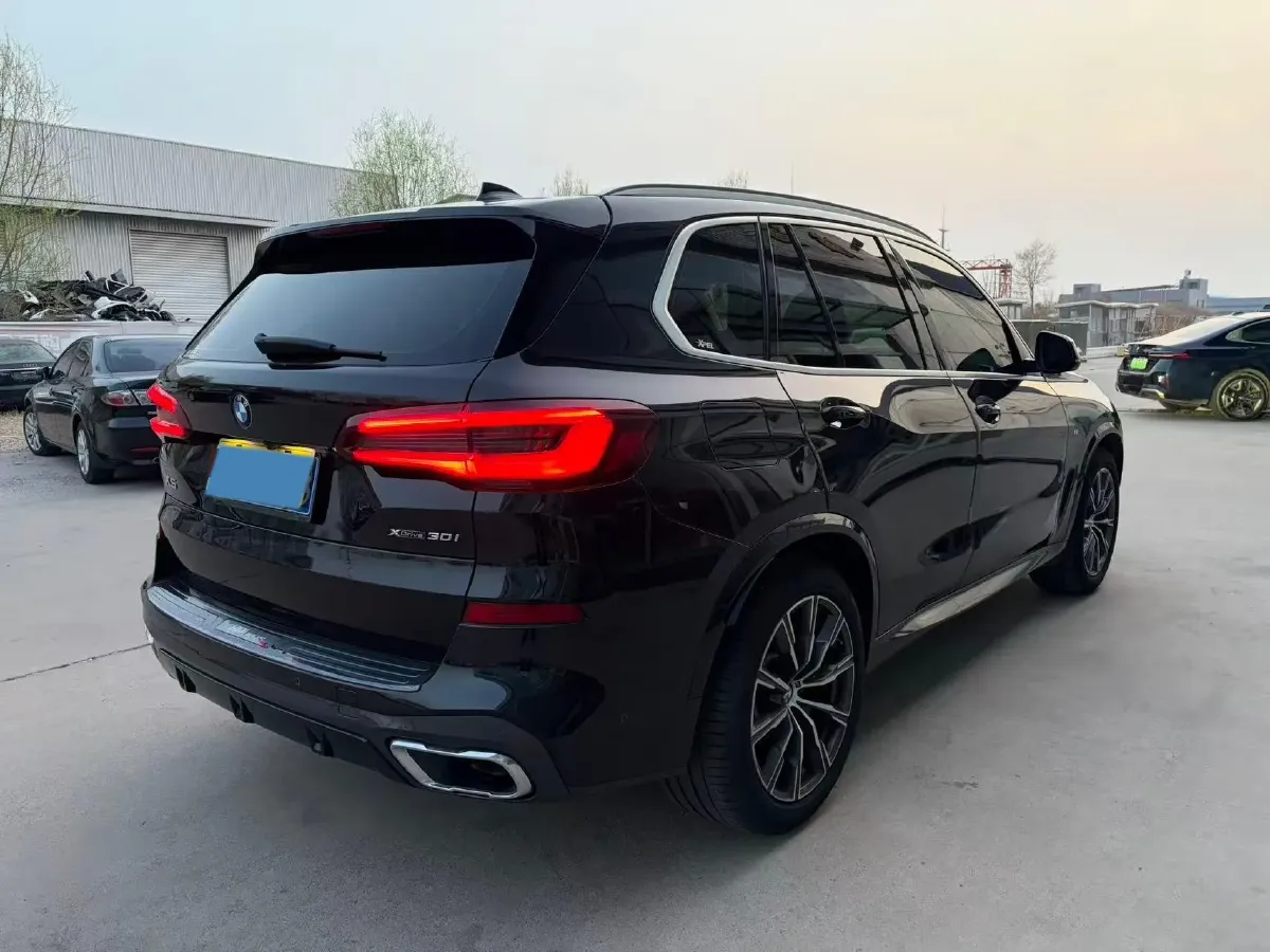 2021 BMW X5 2.0T 265HP L4 8AT,autocango,china used car exporter,china ev exporter,chinese used car exporter,chinese used ev exporter