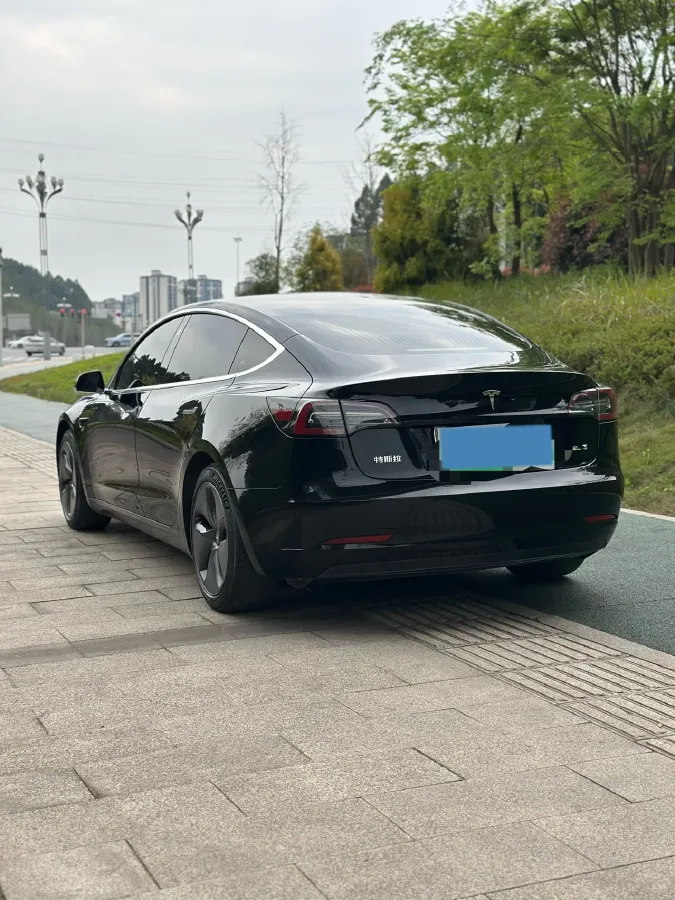 2020 Tesla Model 3 BEV 52KWH,autocango,china used car exporter,china ev exporter,chinese used car exporter,chinese used ev exporter