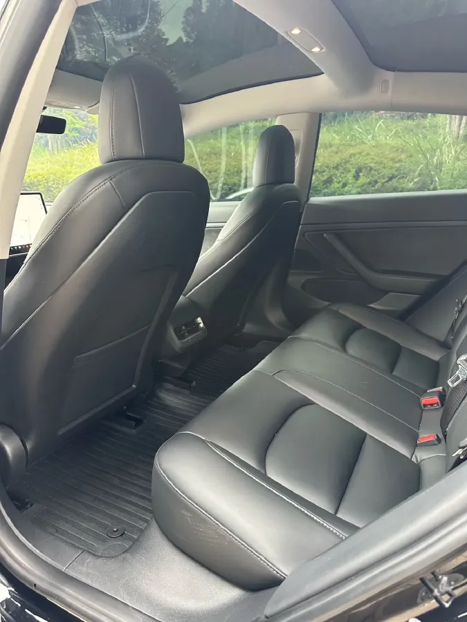 2020 Tesla Model 3 BEV 52KWH,autocango,china used car exporter,china ev exporter,chinese used car exporter,chinese used ev exporter