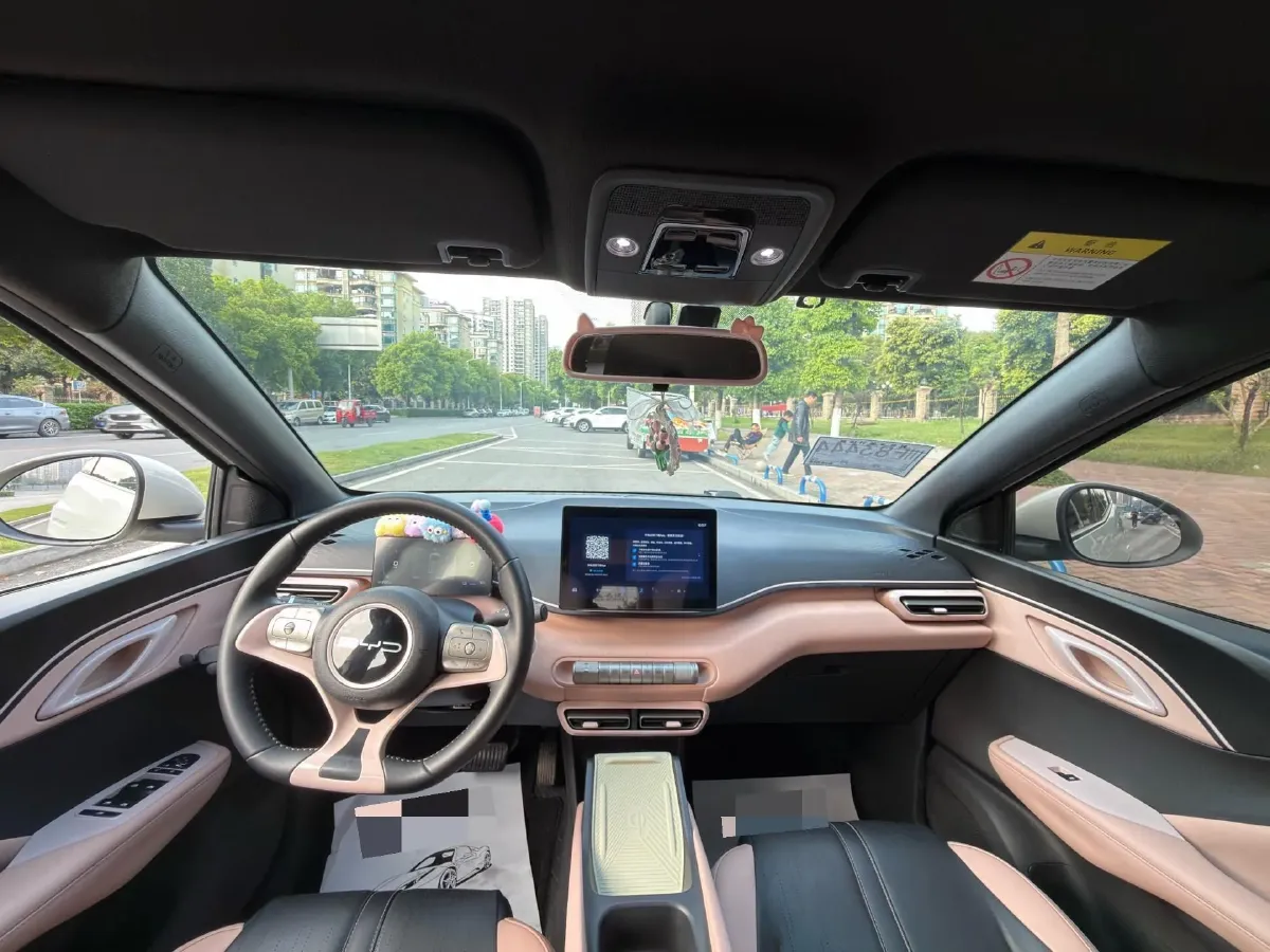 2023 BYD Seagull BEV 38.88KWH,autocango,china used car exporter,china ev exporter,chinese used car exporter,chinese used ev exporter