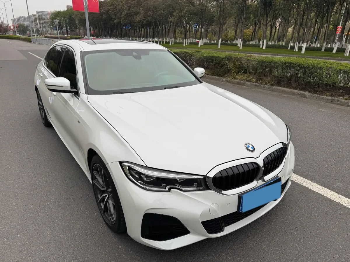 2020 BMW 3 Series 2.0T 184HP L4 8AT,autocango,china used car exporter,china ev exporter,chinese used car exporter,chinese used ev exporter