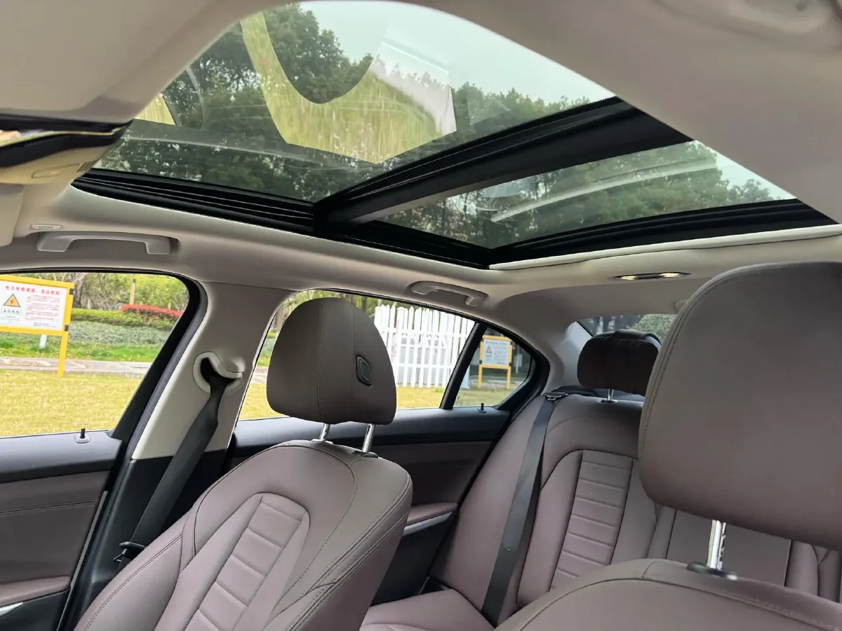 2020 BMW 3 Series 2.0T 184HP L4 8AT,autocango,china used car exporter,china ev exporter,chinese used car exporter,chinese used ev exporter