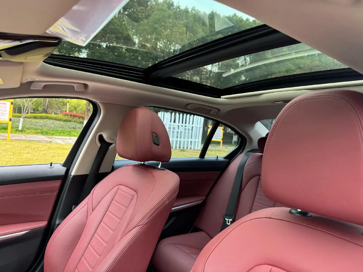 2021 BMW 3 Series 2.0T 156HP L4 8AT,autocango,china used car exporter,china ev exporter,chinese used car exporter,chinese used ev exporter