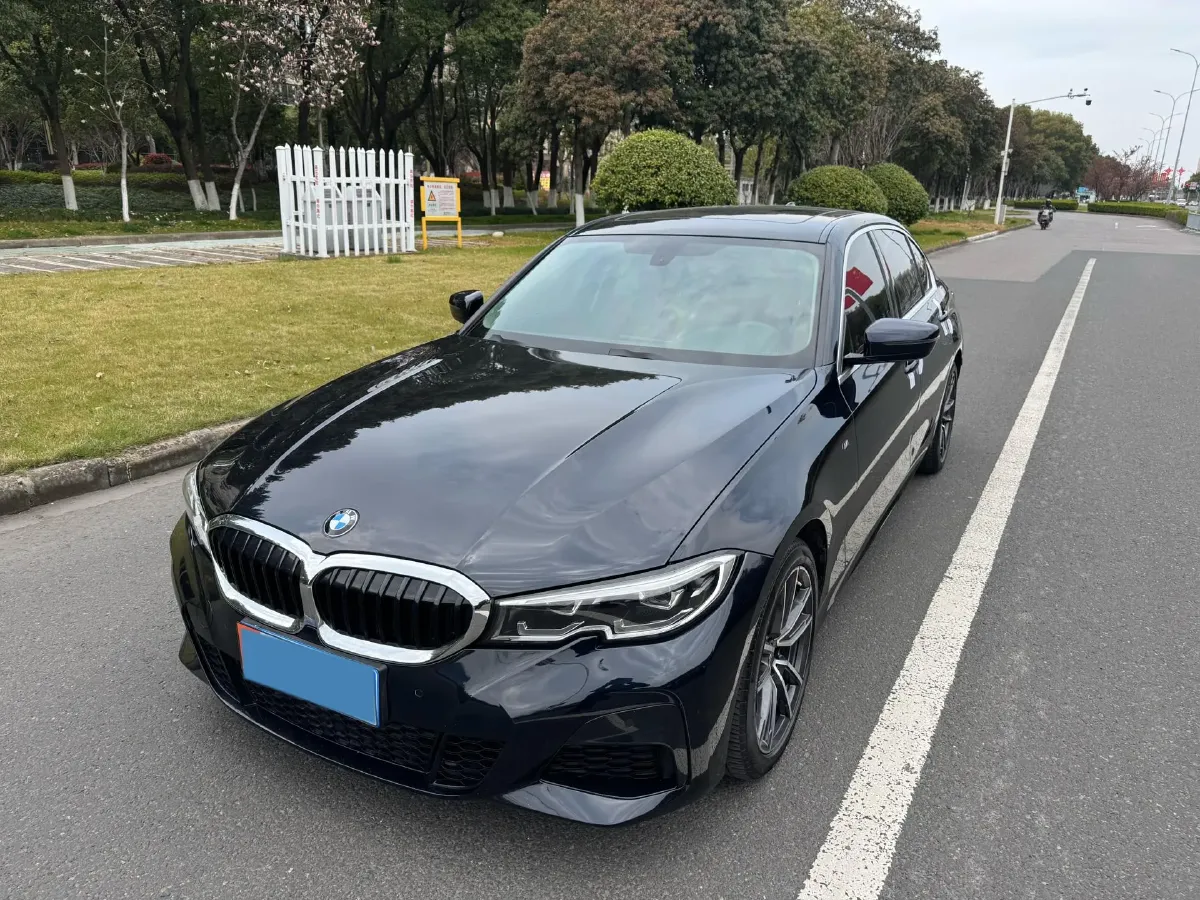 2021 BMW 3 Series 2.0T 156HP L4 8AT,autocango,china used car exporter,china ev exporter,chinese used car exporter,chinese used ev exporter