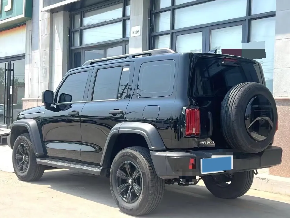 2024 Tank 300 2.0T 227HP L4 8AT,autocango,china used car exporter,china ev exporter,chinese used car exporter,chinese used ev exporter