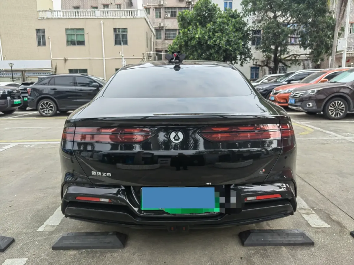 2024 Denza DenzaZ9 2.0T 207HP L4 E-CVT PHEV 38.5KWH,autocango,china used car exporter,china ev exporter,chinese used car exporter,chinese used ev exporter