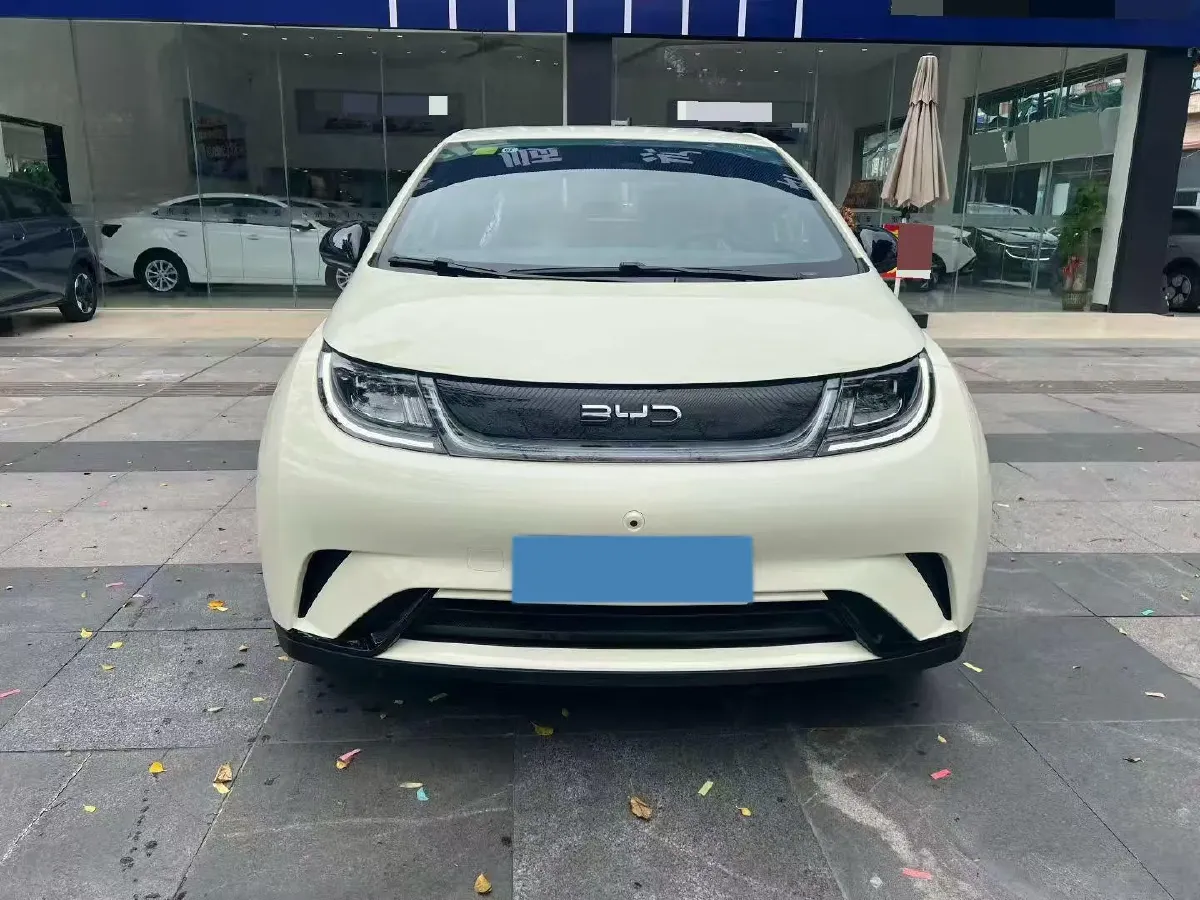 2025 BYD Dolphin BEV 44.928KWH,autocango,china used car exporter,china ev exporter,chinese used car exporter,chinese used ev exporter