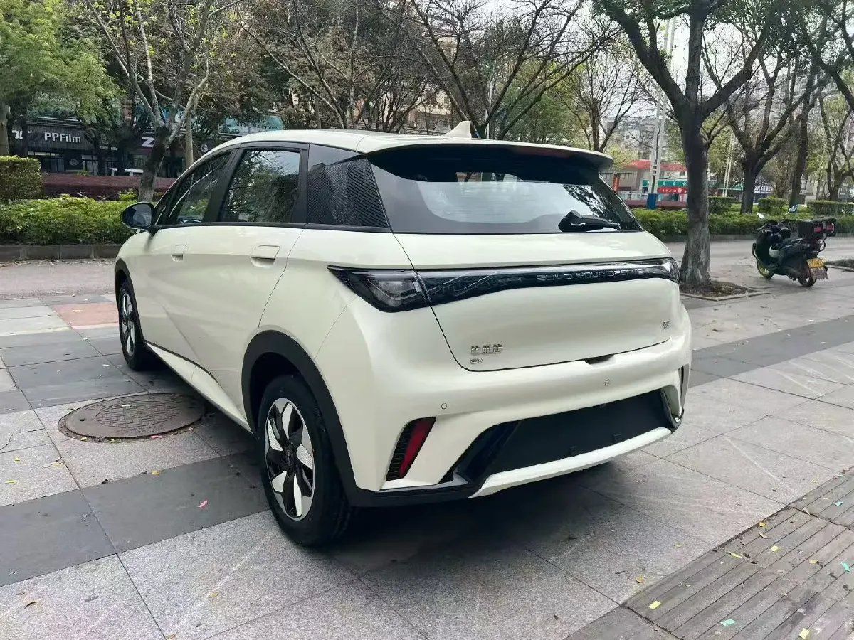 2025 BYD Dolphin BEV 44.928KWH,autocango,china used car exporter,china ev exporter,chinese used car exporter,chinese used ev exporter