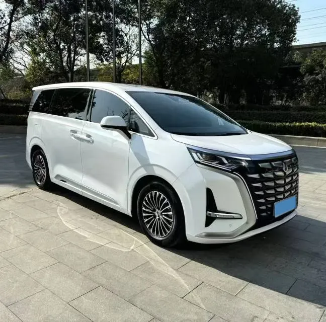 2024 Denza D9 1.5T 139HP L4 E-CVT PHEV 40KWH,autocango,china used car exporter,china ev exporter,chinese used car exporter,chinese used ev exporter