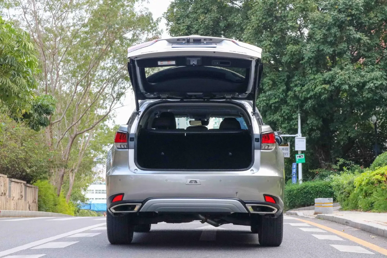 2020 Lexus RX 2.0T 231HP L4 6AT,autocango,china used car exporter,china ev exporter,chinese used car exporter,chinese used ev exporter